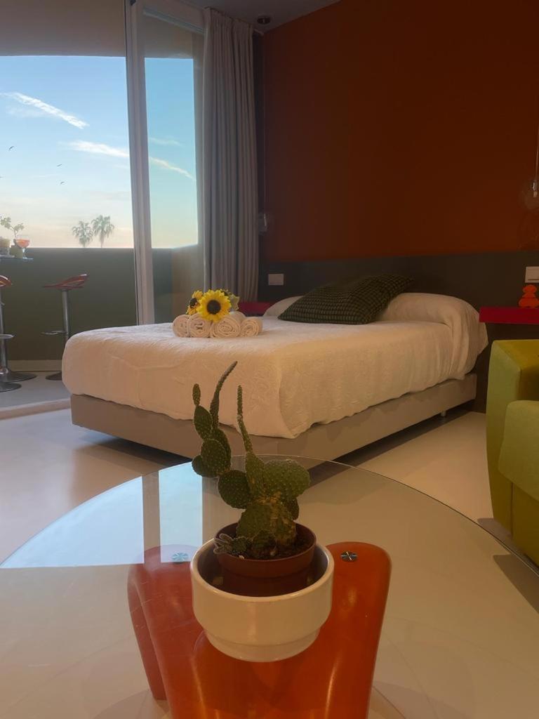 Lahola Glam Suites 토레몰리노스 객실 사진